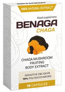 Benaga Chaga