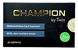 Champion
